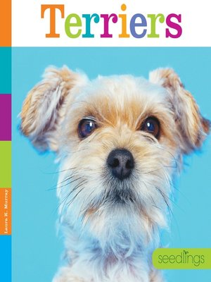 cover image of Terriers